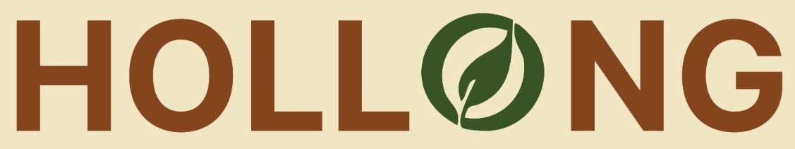Hollong logo